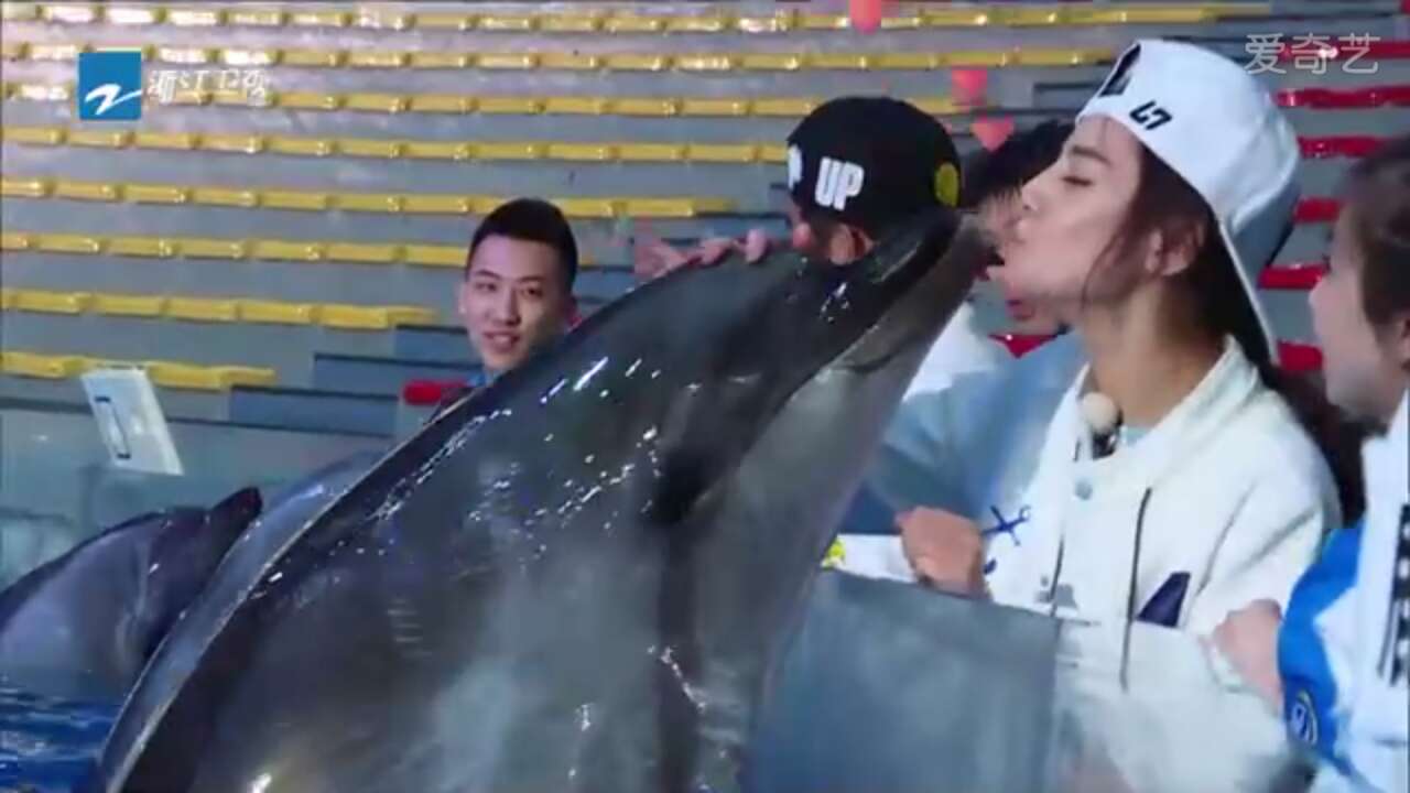 热巴和鹿晗高甜剪辑,热巴和鹿晗的剪辑