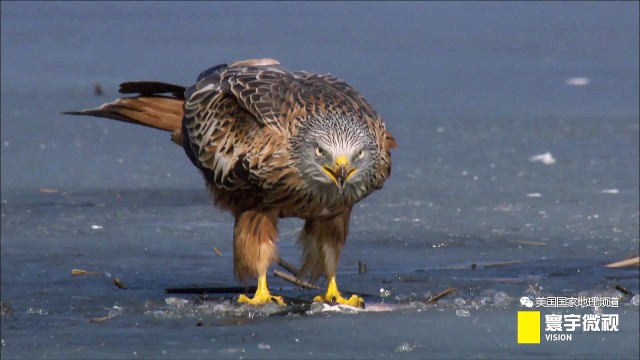 瀵板畤寰瑙ｆ瀽,瀵板畤寰