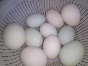 腌鸭蛋油最好的方法,腌鸭蛋的腌制方法和配料