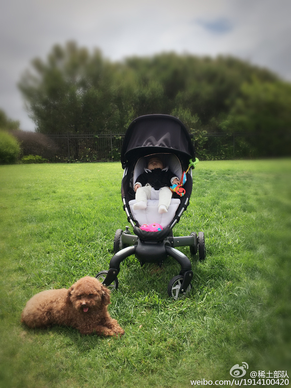 投胎小能手小说,投胎的小能手完整视频