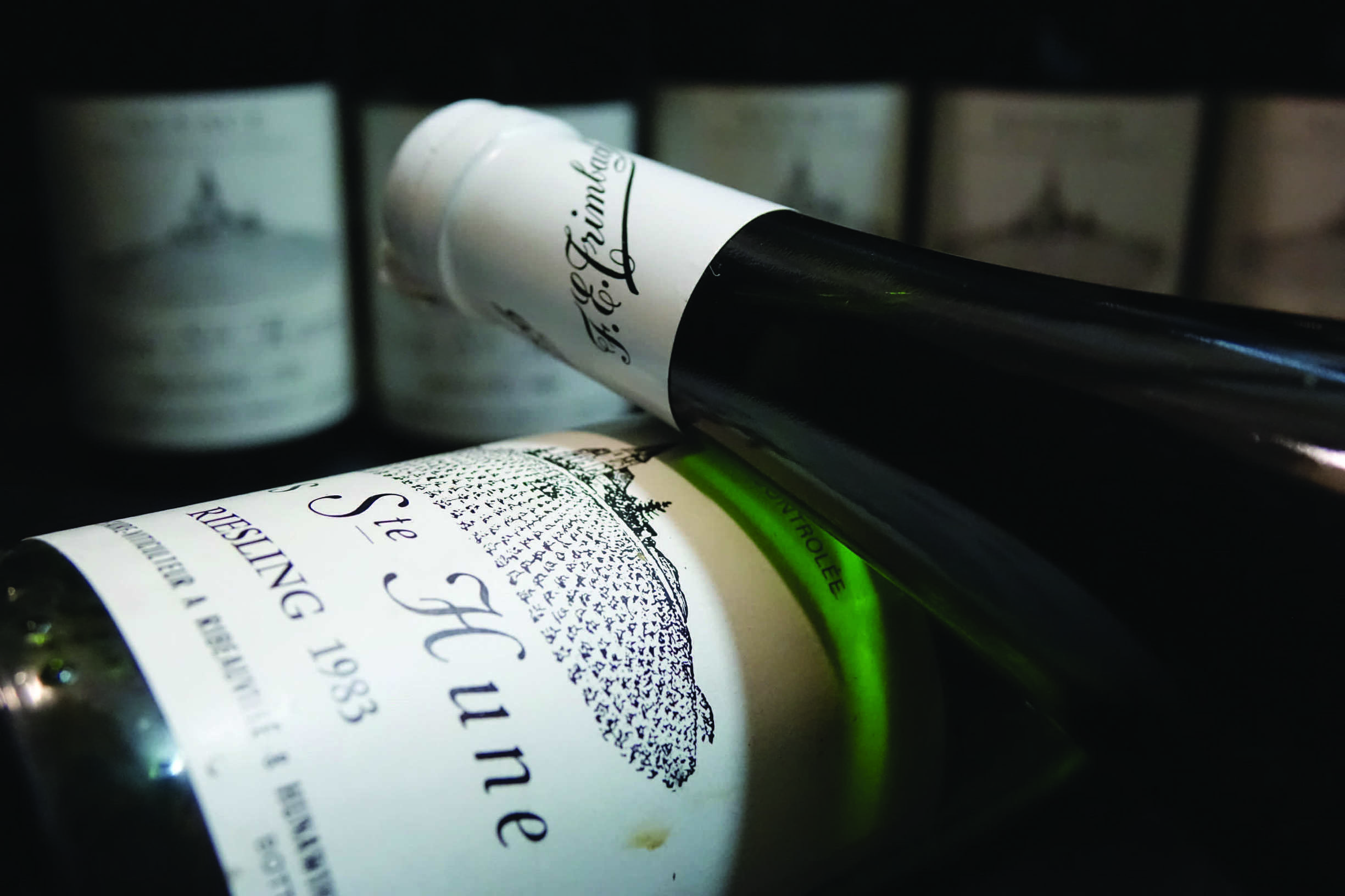 鍊煎緱鏀惰棌鐨勯浄鍙镐护,椋庨潯鍏ㄧ悆鐨勯浄鍙镐护