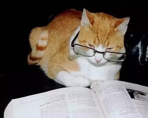 职场表情包朋友圈,职场表情包套装