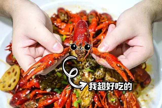 广州小龙虾视频,广州哪里买鲜活小龙虾