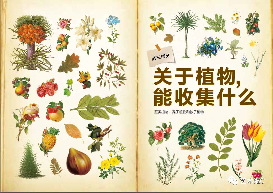 大英博物馆柜子,大英博物馆家具是什么