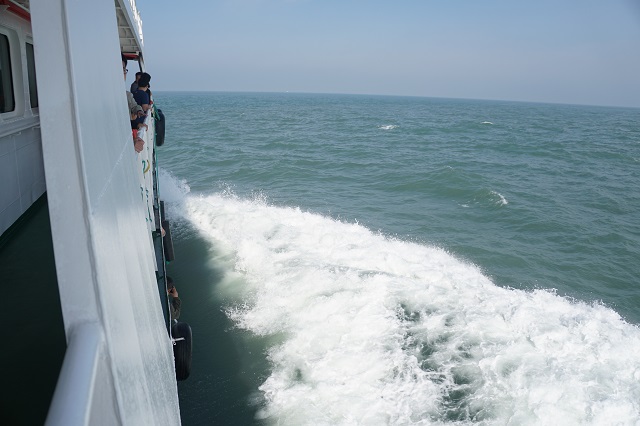 什么时间去枸杞岛最好,冬季坐船去枸杞岛