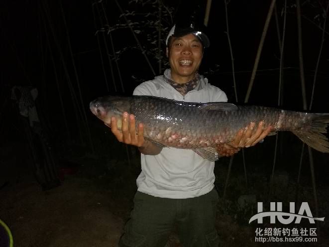 钓无定律,灵活运用不放弃完美上岸,收竿鱼得大青!