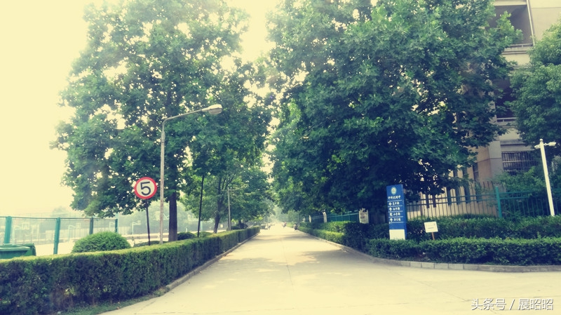 合肥中科大附属中学在哪,合肥中科大附属中学是公立学校吗