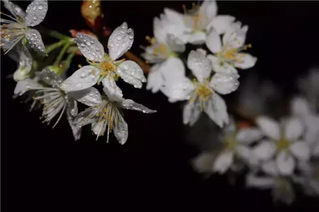 中国航天五零四所介绍,中国航天五零四研究所