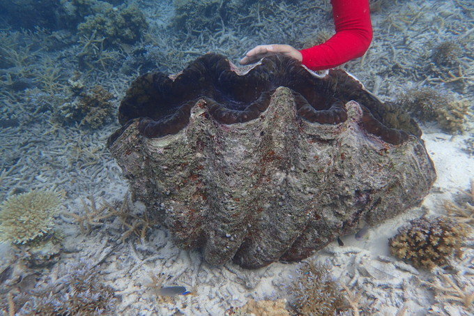 带着思念去海边,带着思念期待下一次再见