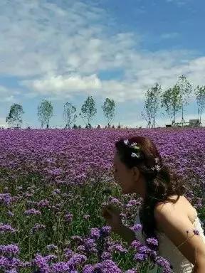 心灵美文古诗词,心灵美文楷书