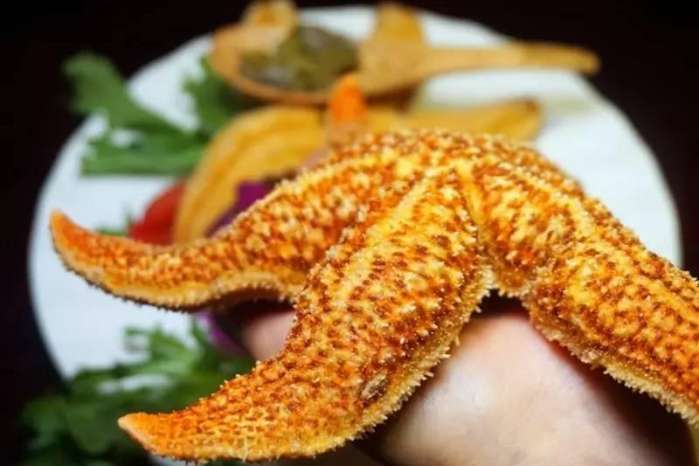 所有的美好都藏在不经意间,日式顶级活造刺身料理等你来寻味!