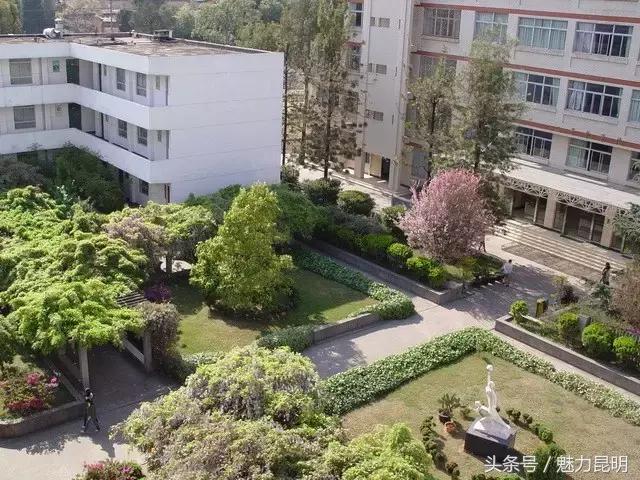 昆十四中老照片,昆十四中