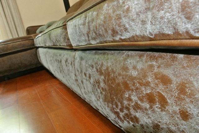 发霉家具处理,如何处理发霉家具