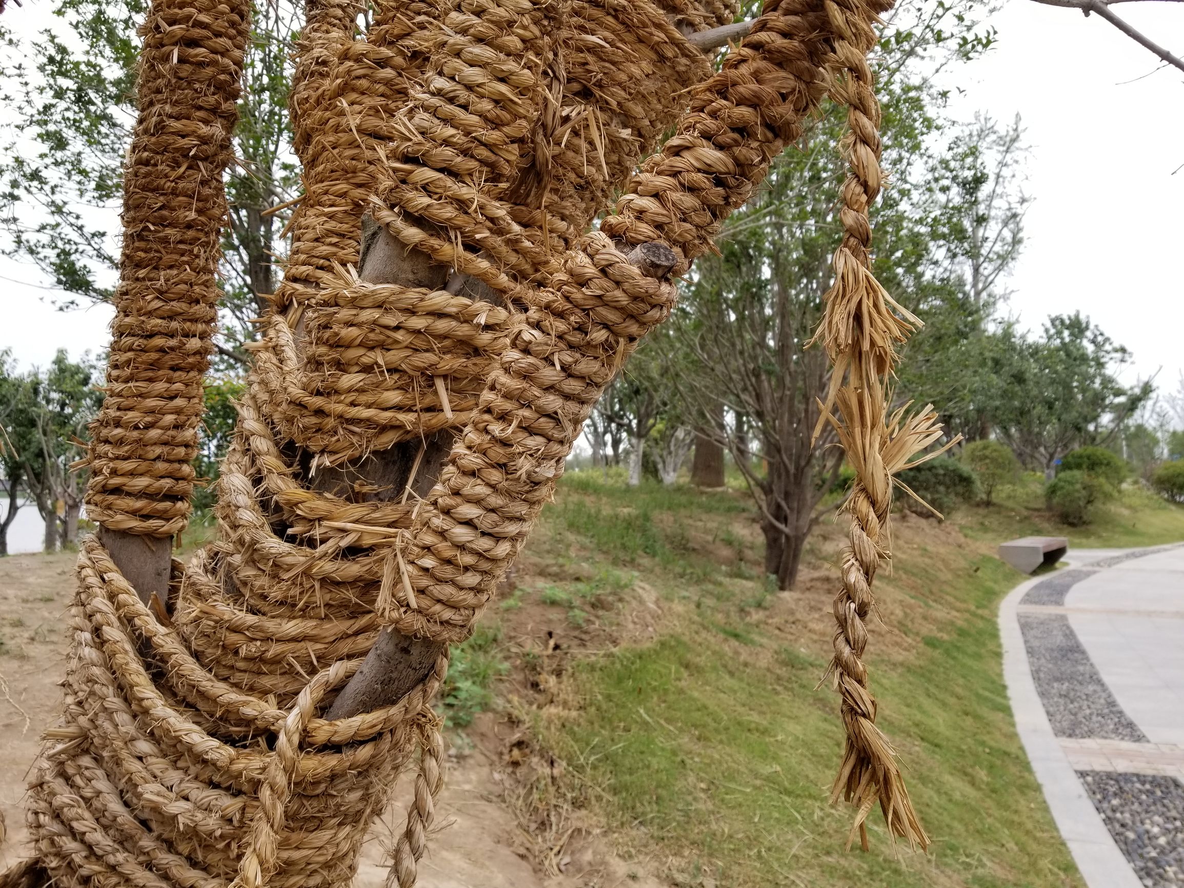 三星盖乐世s8还能维修吗,盖乐世s8功能