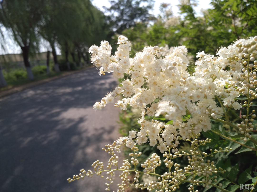 360n5s质量怎么样,双面高端玻璃