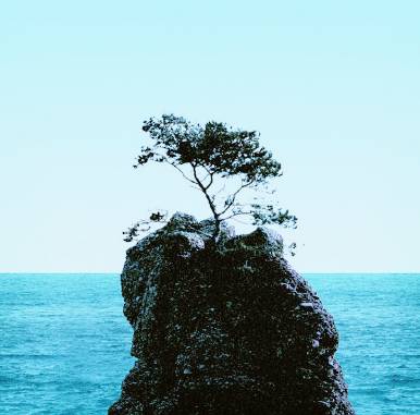 真正适合夏天的大牌香水,什么香水有脂粉味又很清新