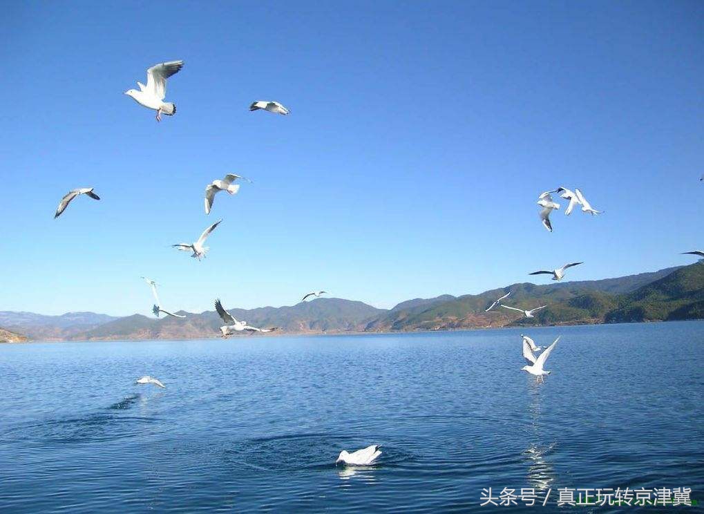 六月初的青海湖怎么样,六月的青海湖