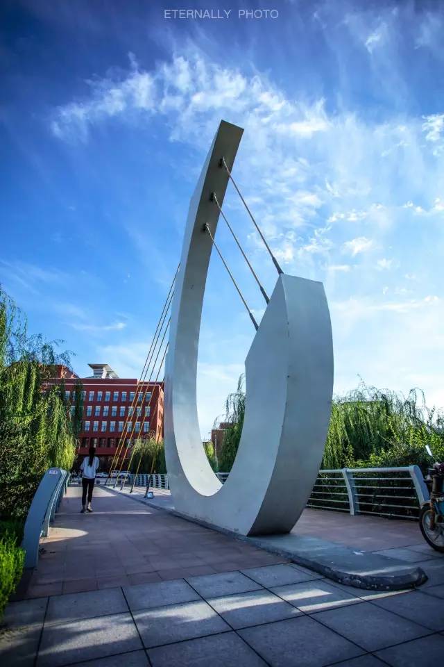 山东交通学院综合评价招生2024,山东交通学院2023年春考招生专业