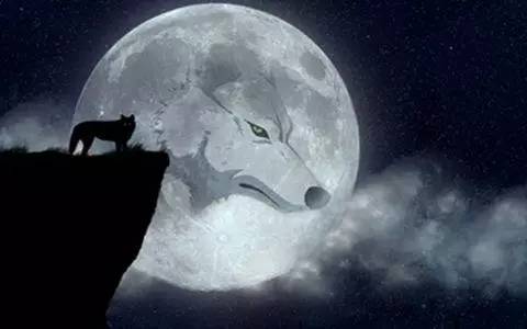 你我本无缘分，全靠“生态圈”死撑