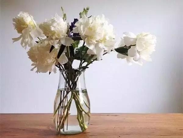 蚊子苍蝇蟑螂有没有办法全部除掉,蚊子苍蝇蚂蚁蟑螂蜈蚣用啥药消灭