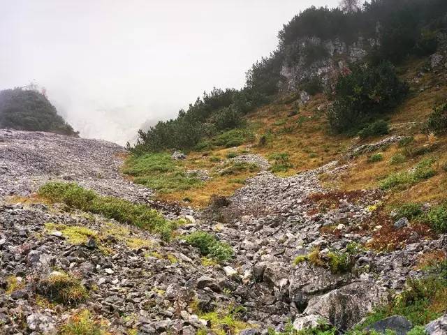 色盲也是超能力？英国专招色盲做夜间侦察兵