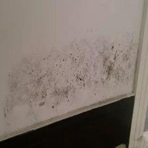 儿童白墙乱画怎么处理,小孩在白墙乱涂乱画怎么弄干净