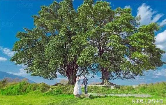 高考后的毕业旅行推荐,高考结束我们一起去旅游