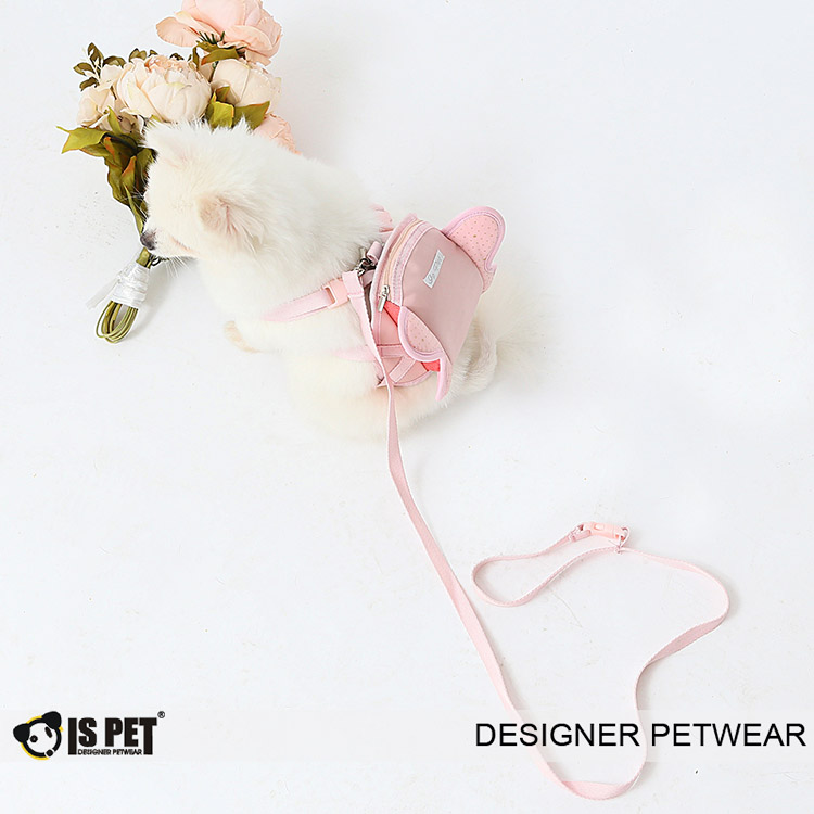 狗狗胸背P链项圈学问大了！快来看看你选的对不对