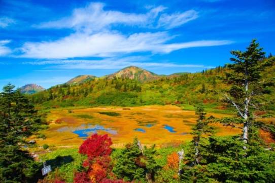 日本绝景精选,日本十大美景排行榜