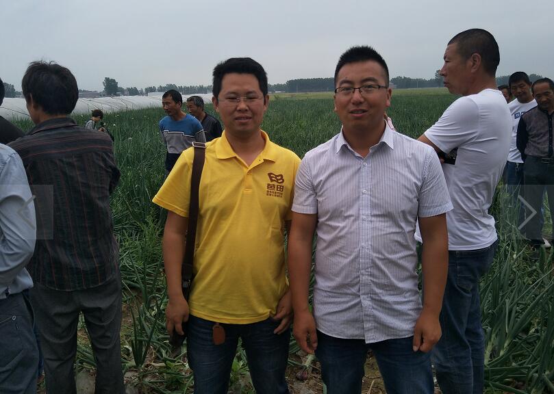 鑱氱劍涓夊啘绉嶆钄彍,鑱氱劍涓夊啘姘寸ɑ绉嶆