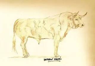 这只旷野露JJ黑牛是如何逆袭成西班牙文化符号的？认识板鸭圣斗牛