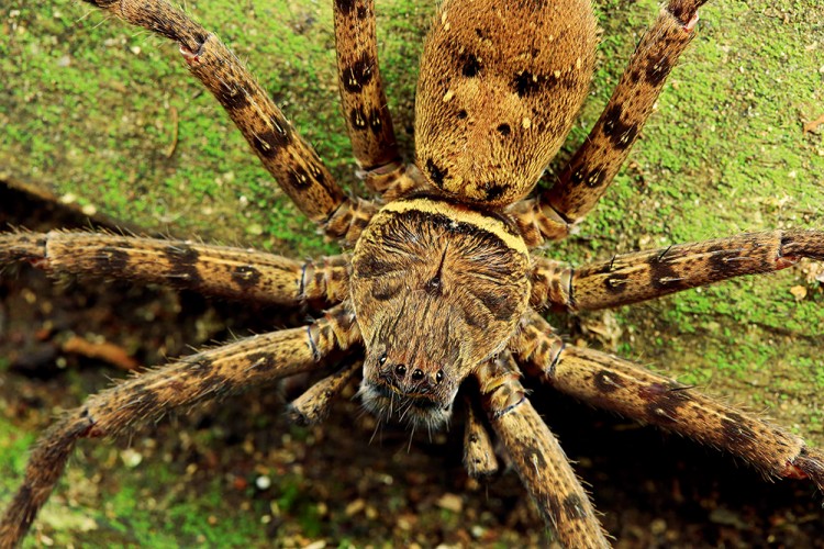 世界物种基因库在什么地方,探秘人类基因