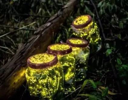 淘宝禁售产品新政策,淘宝商家禁售公告