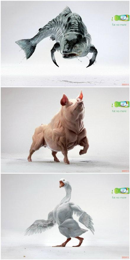 那些吊炸天的设计灵感,杜蕾斯超有创意的搞笑广告