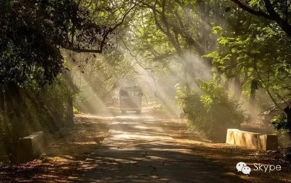 skype隐身技巧,skype怎么更改约会时间