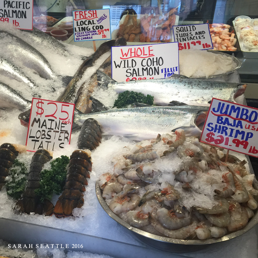 为了这束光，我们一路向北追逐而至...