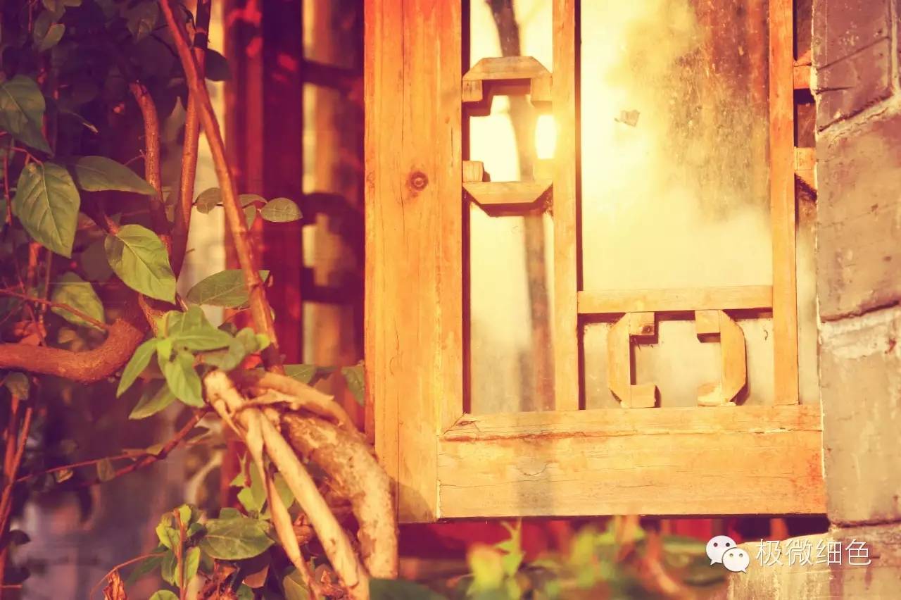 涔惧煄婀樿タ,婀樿タ涔惧煄鍙ゅ煄