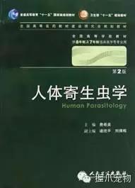 孕妇不能养什么,家里有孕妇可以养宠物吗