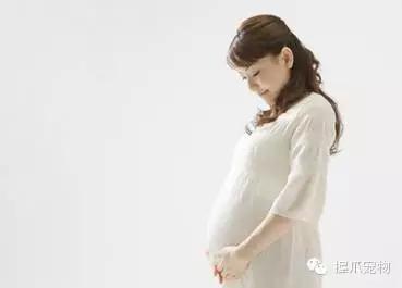 孕妇不能养什么,家里有孕妇可以养宠物吗