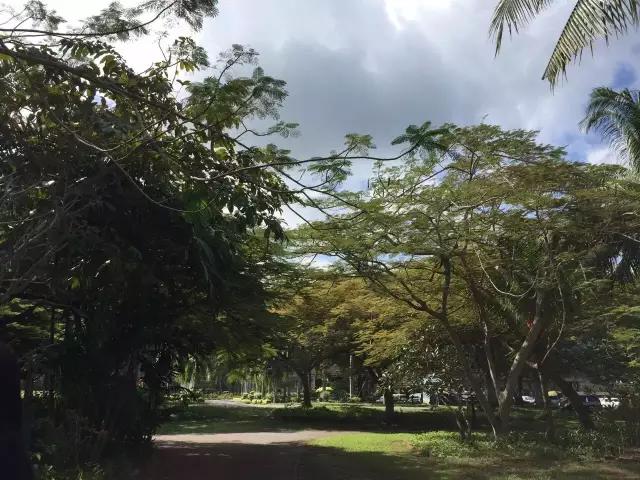 3000元海岛游,3000元买个岛