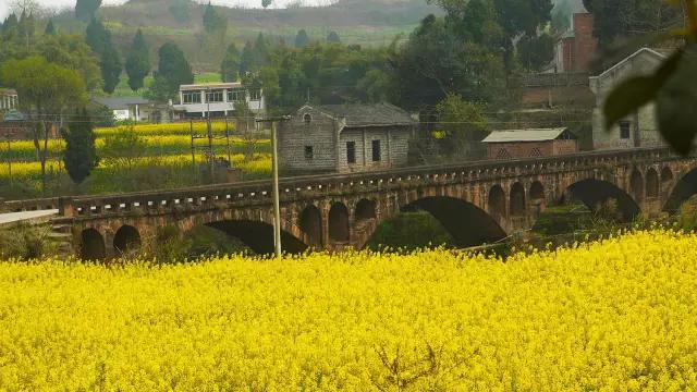 2022成都春季赏花地图,成都赏荷地图出炉啦