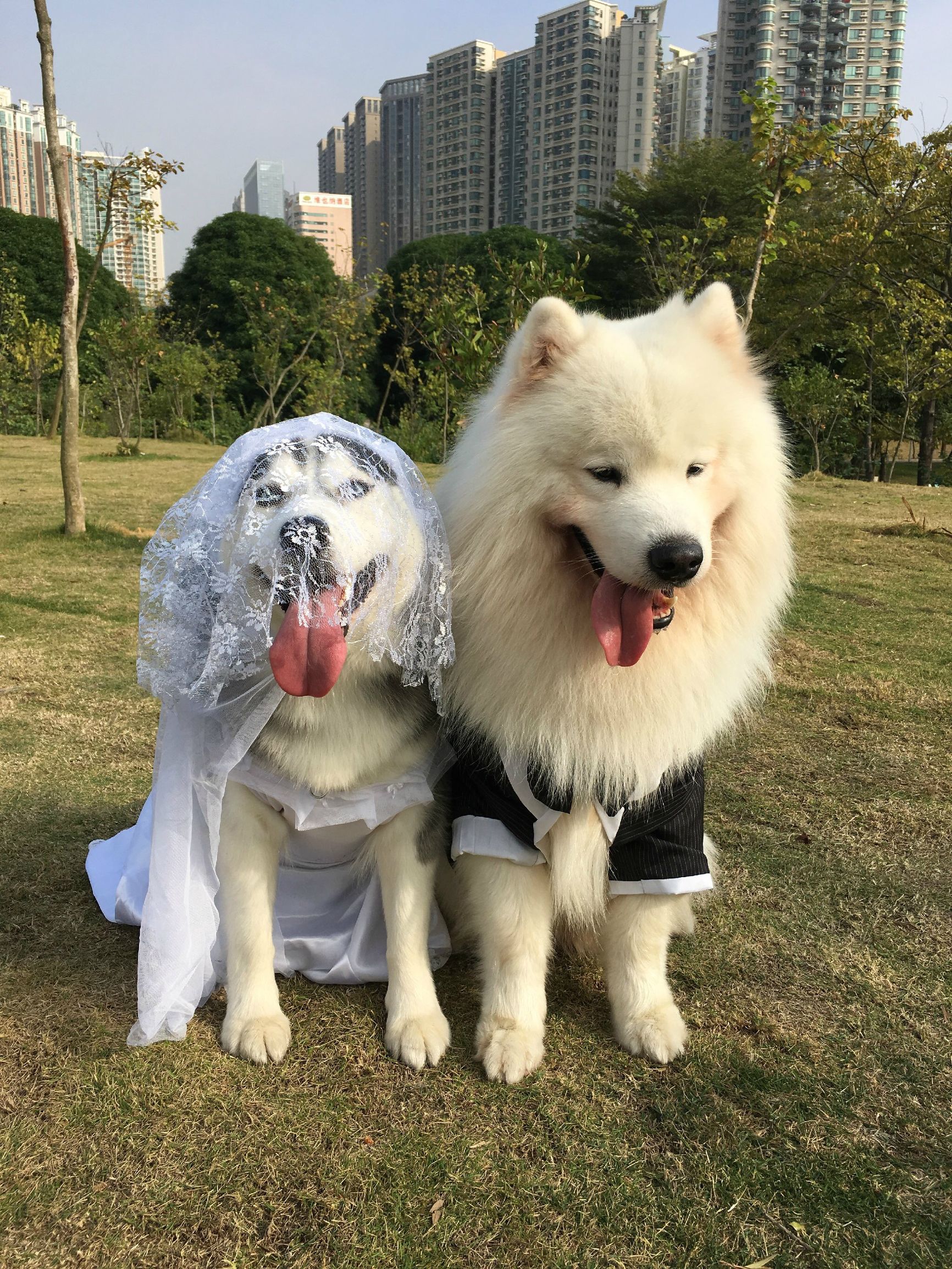 瀵逛笉璧蜂簩鍝堢殑鐪肩,瀵逛笉璧锋垜鐖变綘浜屽搱