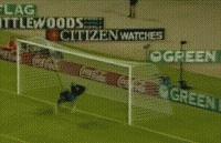 足坛十大不可思议的门将进球,足球史上最不可思议的门将进球