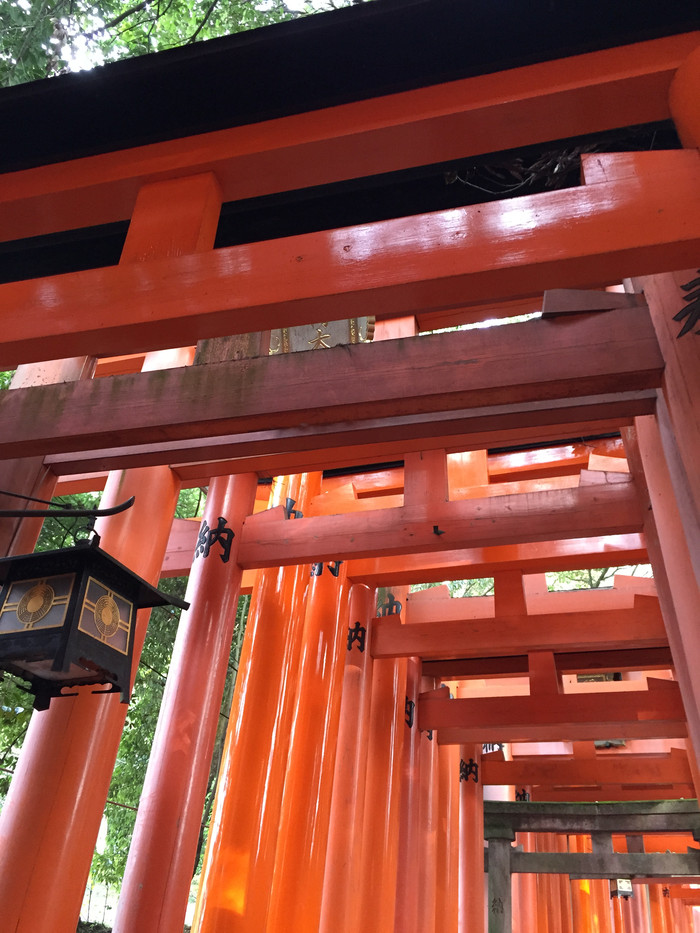 日本的冬天依旧色彩绚烂,冬季日本的冰雪阳光