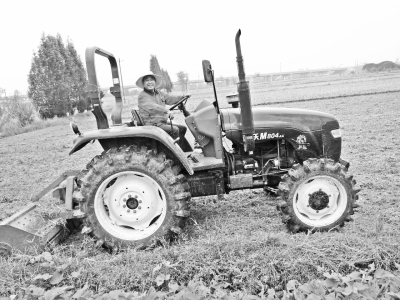 产业园农产品发展,精准施策山村特色农产品成网红