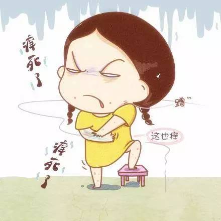 击退小疹子,四种方法帮你止痒