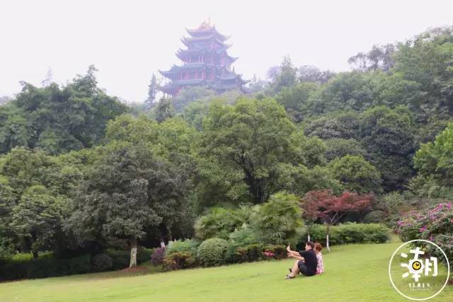 重庆桂花园景点,重庆桂花公园免费