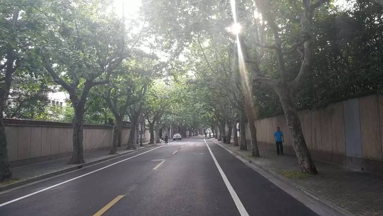 上海四条好看的马路,上海最美一条街