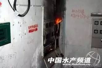 饲料工厂安全事故视频,饲料厂生产安全事故案例