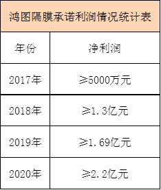 鸿图隔膜上市,鸿图隔膜有限公司2019收入